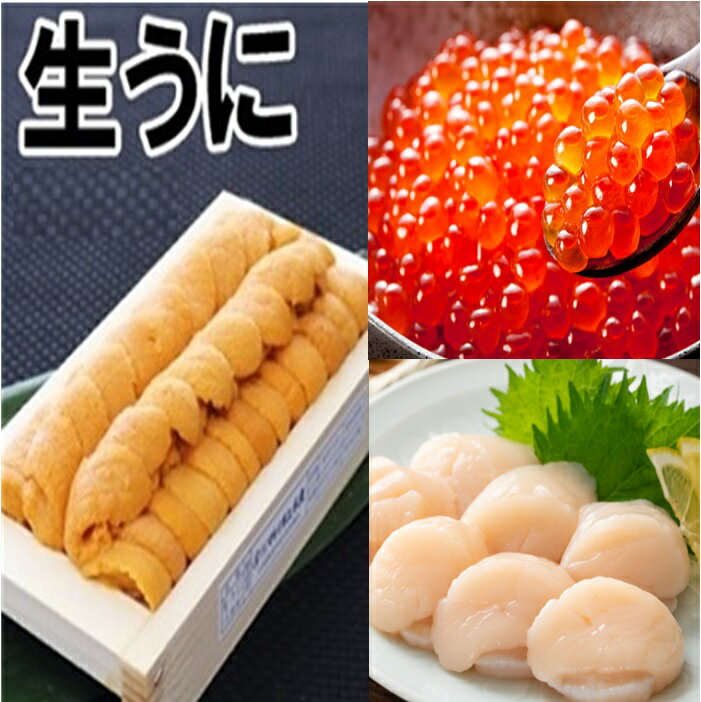 【ふるさと納税】 エゾバフンウニ140g×1折、いくら醤油漬け150g×1P、お刺身ホタテ貝柱500g×1P[11月下旬以降発送] E-71015