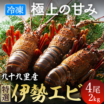 
            甘い!旨い!冷凍品とは思えない!活け〆リキッド冷凍伊勢海老(刺身用) 4尾で2kg【1578253】
          