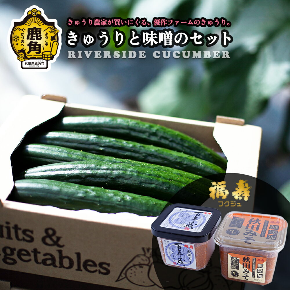 【ふるさと納税】野菜ソムリエサミット 銀賞受賞 リバーサイド きゅうり ＆ 味噌 セット 浅利佐助商店 秋田みそ 新鮮 旬 安全 キュウリ 胡瓜 県産野菜 国産野菜 お中元 お歳暮 お取り寄せ グルメ 秋田 あきた 鹿角市 鹿角 送料無料 【優作ファーム】