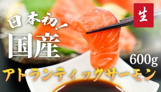 C62【毎週金曜発送】日本初！今話題の国産アトランティックサーモン「FUJI ATLANTIC SALMON」【生】600ｇ