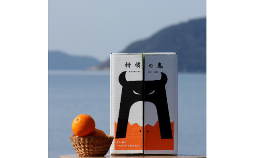 
            あまーい温州みかん(石地みかん)5kg[数量限定]＜C56-8＞_ みかん 蜜柑 ミカン フルーツ 果物 くだもの 人気 美味しい 柑橘類 柑橘 愛媛県 八幡浜市 ふるさと 【1128576】
          