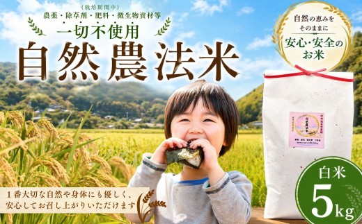 【大分県産】 自然農法 白米 5kg | お米 うるち米 国産 九州 大分県 豊後高田市