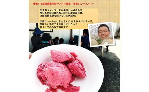 武下さんちのあまおうジェラート 6カップ 濃厚 3～4名様向け ギフト 苺ジェラート