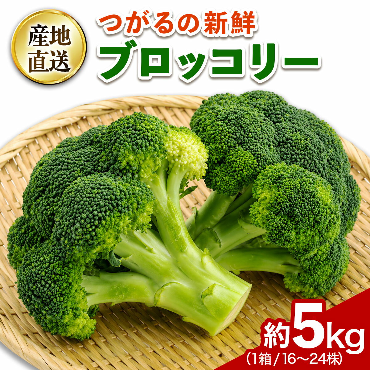 【ふるさと納税】つがるの新鮮ブロッコリー 約5kg(16株から24株)｜ブロッコリー ぶろっこりー 新鮮 野菜 やさい サラダ おかず 弁当 具材 青森県 つがる市 国産 農協 産直 贈答 ギフト [1005]