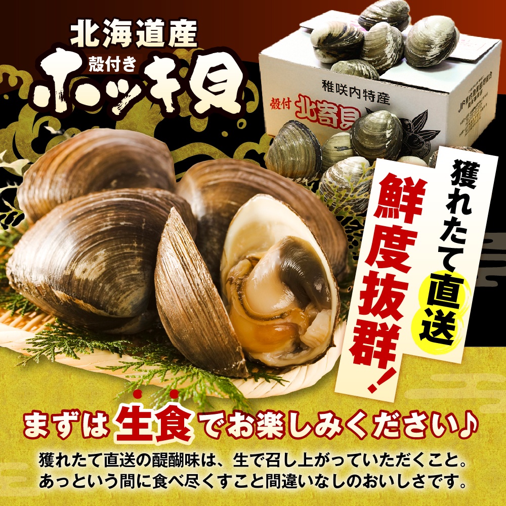 【数量限定】 獲れたて直送 ホッキ貝 約2kg tt007-003 約2kg（約9～12個）