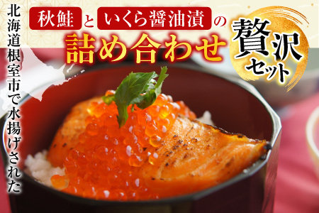 【北海道根室産】[鮭匠ふじい]鮭・いくら詰合せ A-42064