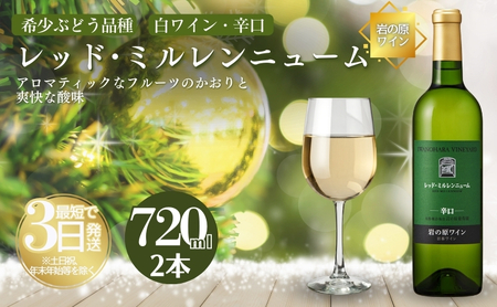 岩の原ワイン レッド・ミルレンニューム 辛口 ワイン 2本 720ml