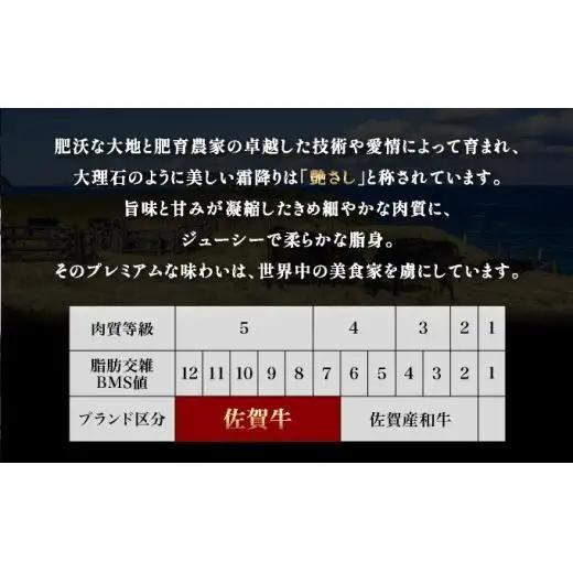 佐賀牛ヒレ540g(180g×3枚) ヒレサイコロステーキ400g 計940g
