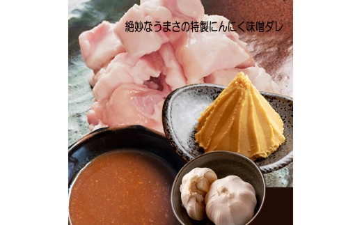 【 訳あり 】 国産牛 大トロホルモン にんにく味噌味 500g （100gパック） 小分け ニンニク ガーリック 味噌味 ホルモン 焼き 焼肉 味付 小分け 冷凍 味噌だれ 不揃い 焼き肉 炒め物 