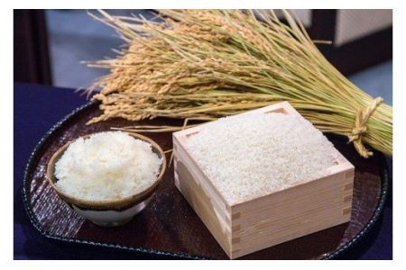 福井が生んだブランド米「福井県産いちほまれ」5kg [A-014002]