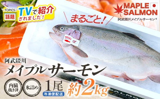 
                  ＼★TVで紹介されました！／ 阿武隈川メイプルサーモン鮮魚 1本(約2kg前後) 内臓抜き 氷詰め　【07461-0265】サーモン メイプルサーモン 鮭 国産 魚介類 海鮮 養殖 冷蔵 林養魚場 西郷村 
                