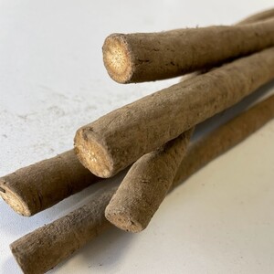 【秋掘り】十勝豊頃産ごぼう8.0kg 【2026年初冬出荷】（先行受付）【植村農場】