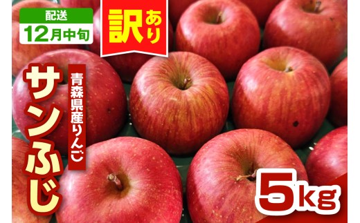【2026年12月中旬発送】りんご 青森 サンふじ 5kg 程度 《 訳あり 》 農家直送 サンフジ 青森県 五所川原市 傷 キズ ワケアリ 林檎 リンゴ apple