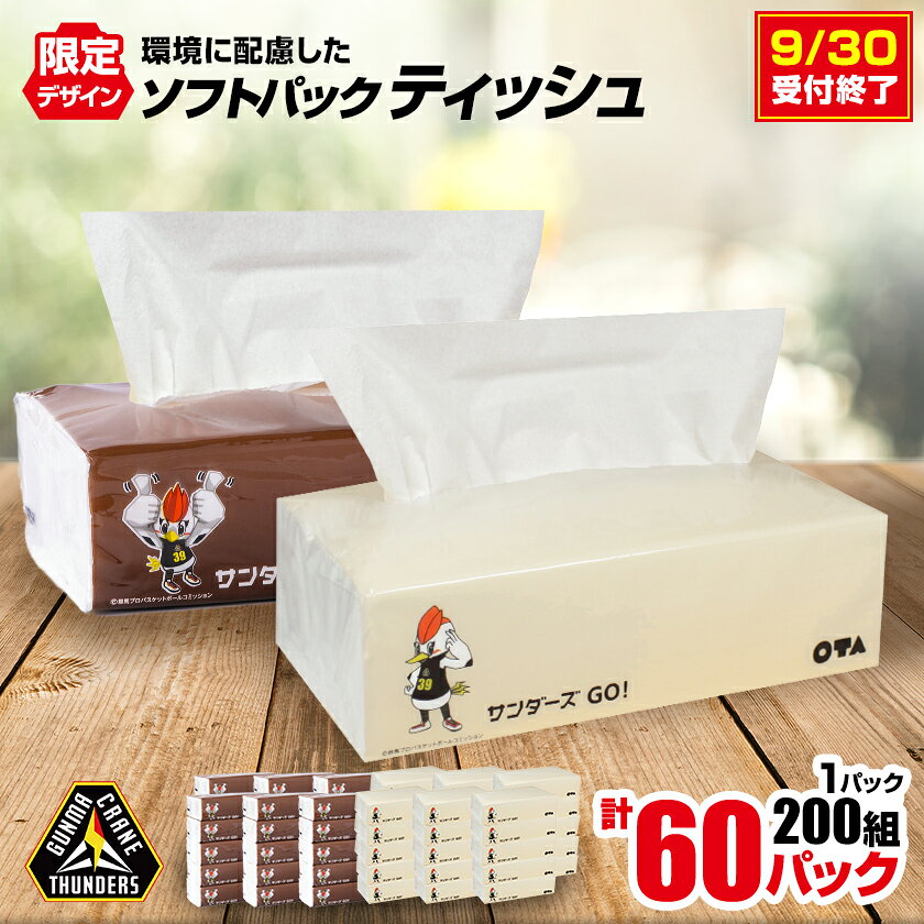 【ふるさと納税】群馬クレインサンダーズ応援ソフトパックティッシュ 400枚(200組)×60パック_ ティッシュ ティッシュペーパー ソフトパック まとめ買い ソフト 箱なし 群馬県 太田市 ふるさと 【配送不可地域：離島・沖縄県】【1422589】