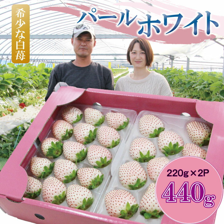 【ふるさと納税】【先行予約令和8年1月配送開始】 白 いちご パールホワイト （2パック）220g×2パック （合計440g）　佐賀県産　希少な白苺 ホワイトイチゴ 送料無料 水田苺園 農家 直送品 果物 くだもの フルーツ 人気 ランキング 高評価 苺 イチゴ 【B140-035】