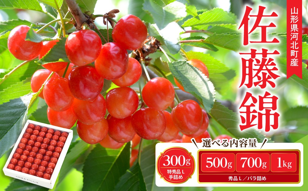 
                  選べる内容量!【令和9年産】さくらんぼ 佐藤錦 300g/500g/700g/1kg L玉以上 秀品 山形県産【山形eLab】 (かほく サクランボ チェリー サトウニシキ 先行予約 先行受付 2027年 フルーツ 果物 旬の果物 産地直送 お取り寄せ くだもの 高級 ギフト プレゼント 贈り物 内祝い お中元 贈答 贈答用 国産 予約 東北)
                
