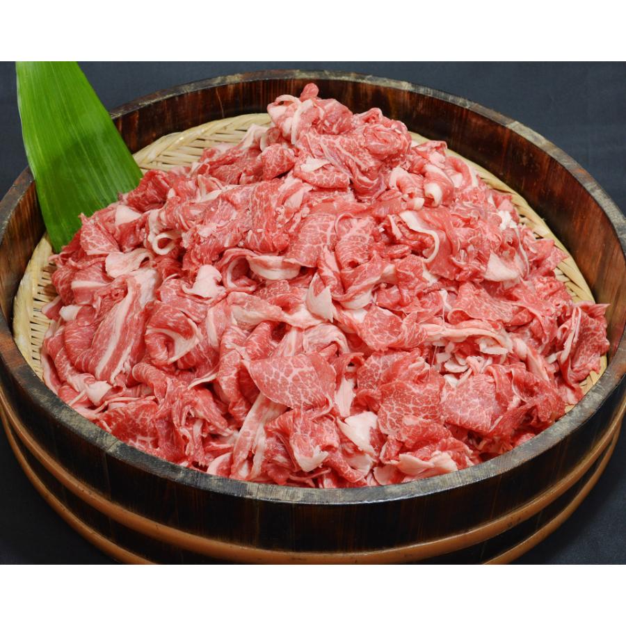 ＜天草黒牛＞切落とし500g×2P