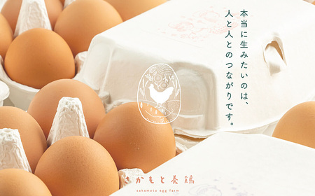 さかもと養鶏の白鳳卵：50個入り | 卵 たまご 玉子 タマゴ　生たまご 生卵 白鳳卵　奈良県 五條市
