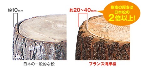 DHC コレステロール 対策 機能性表示食品 30日分