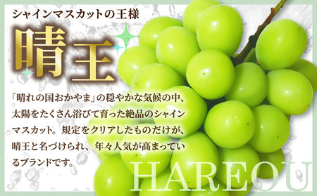 【令和７年発送分】岡山県産 シャインマスカット晴王【秀品】 大房１房（令和7年9月から11月発送）【 岡山県産 シャインマスカット 秀品 晴王 大房 晴れの国おかやま 】