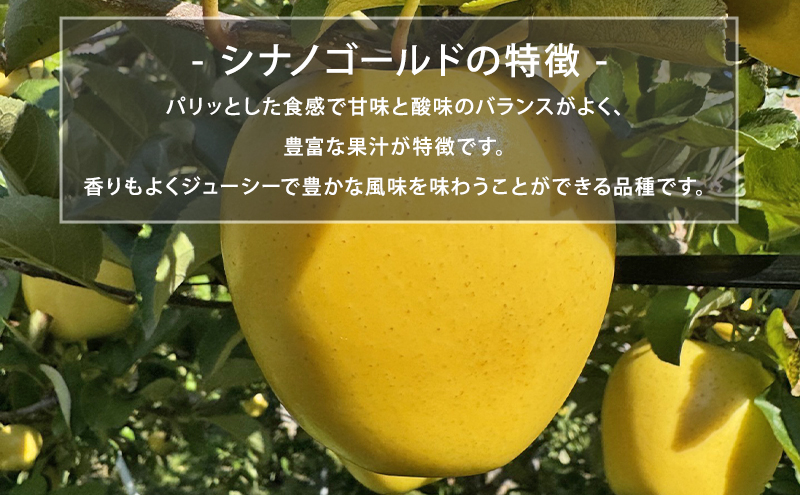 【12月発送】盛岡市産 田村ふぁーむ 家庭用 完熟りんごサンふじ＆シナノゴールド5kg（14～20玉） 果物類 林檎 リンゴ