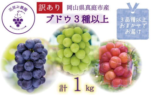 【2025年先行予約】 訳あり ぶどう 花笑み農園のぶどう おまかせ3種以上（約１kg） hana18-1. / ぶどう ブドウ 葡萄 シャインマスカット ピオーネ クイーンニーナ オーロラブラック 瀬戸ジャイアンツ 翠峰 BKシードレス マスカサーティーン マスカットノワール 雄宝 マイハート 先行予約 フルーツ 果物 岡山 真庭市