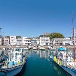 姫かつおスティック 1本 （ピリ辛味） おつまみ おかず かつお 鰹 スティック プロテイン バー 保存食 スポーツ 筋トレ タンパク質 ダイエット 災害備蓄 そのまま丸かじり！【R01105】