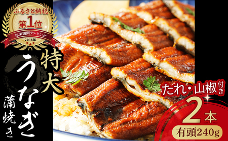 うなぎ蒲焼 【有頭】特大240g（2本入り） 冷凍 たれ付き 蒲焼 国産 鰻 ウナギ うなぎ 蒲焼き 肉厚 土用の丑の日 高知鰻 本格うなぎ 山椒付き 四万十うなぎ Esu-205