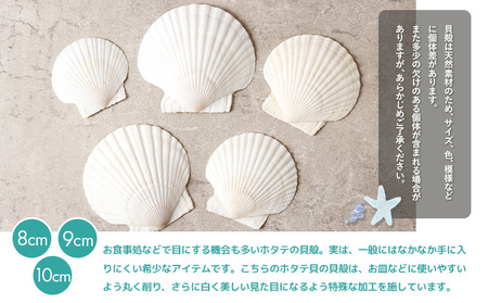 ほたて貝殻詰め合わせ【13001】