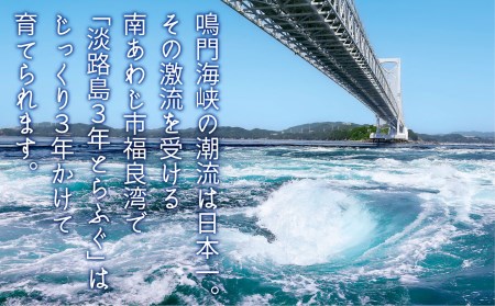 淡路島3年とらふぐ「てっちり」淡路野菜添えセット（2人前） 