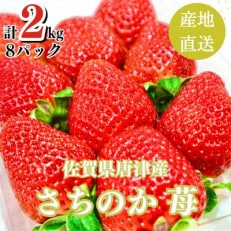 【濃厚苺 さちのか】2kg 山の斜面で十分な日光を浴びた苺!(佐賀県)