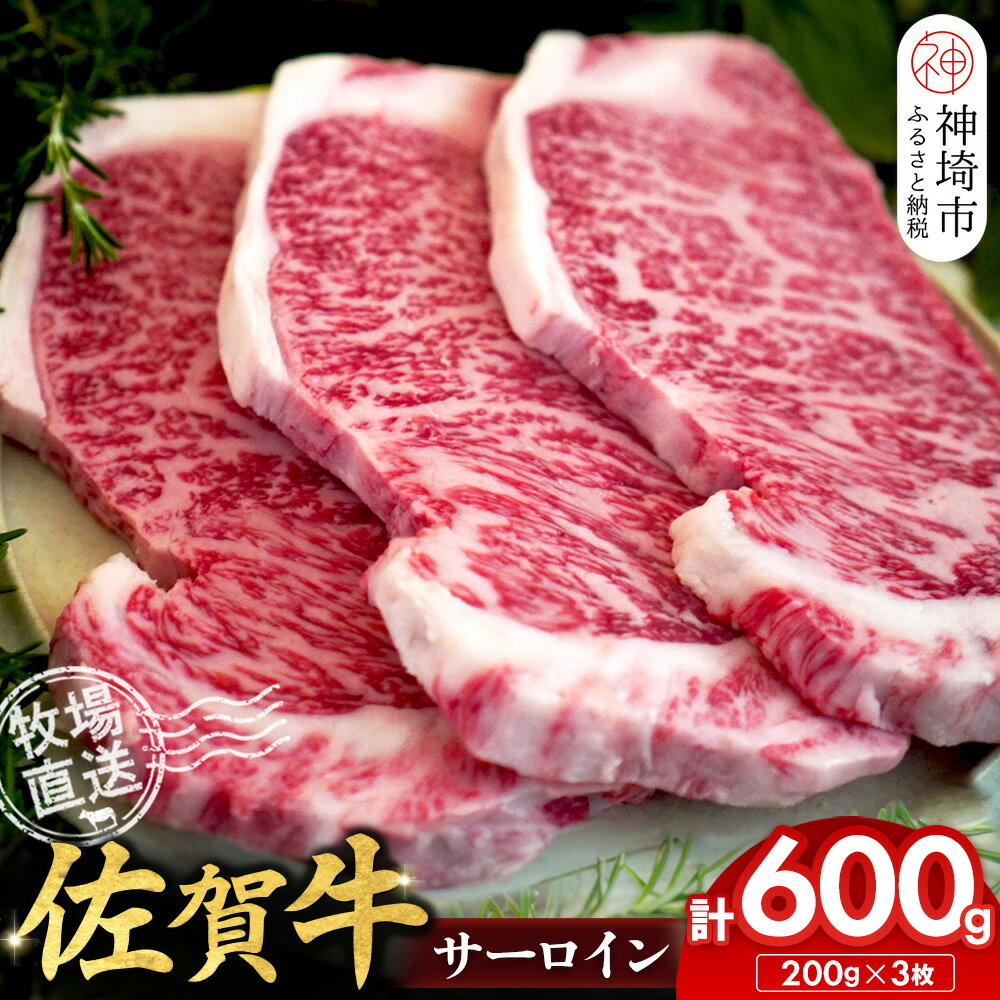 【ふるさと納税】佐賀牛 サーロインステーキ200g×3枚計600g【佐賀牛 サーロインステーキ 牧場直送】(H122148)