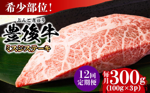 【全12回定期便】【厳選希少部位】おおいた豊後牛 ミスジステーキ 約300g(100g×3P) 日田市 / 株式会社MEAT PLUS 牛肉 おおいた豊後牛 おおいた 豊後牛 黒毛和牛 ステーキ 国産  みすじ ミスジ ミスジステーキ 希少部位 希少 [AREI109]