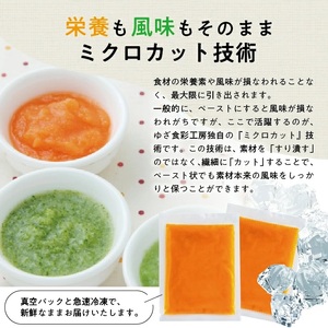 1176NN600G　冷凍にんじんペースト600g(100g×6袋)