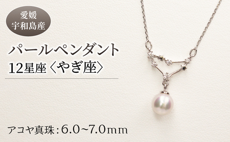 パール ペンダント 12星座 6.0-7.0mm 土居真珠 やぎ座 星座 真珠 アクセサリー ネックレス パールネックレス アコヤ真珠 本真珠 ファッション カジュアル 冠婚葬祭 慶事 結婚式 卒業式