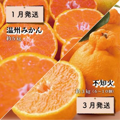 ふるさと納税 時津町 【発送月固定定期便】時津の果物定期便 みかん ぶどう シャインマスカットなど全4回 |  | 01