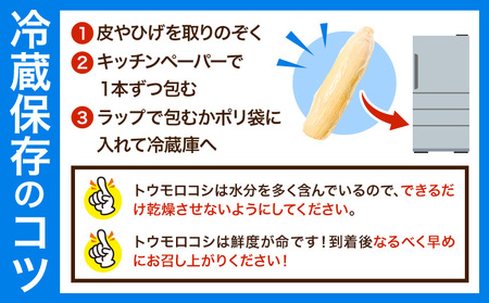 とうもろこし約5kgきらいち結城店《6月中旬-7月中旬頃出荷》 とうもろこしとうもろこし【配送不可地域 本州以外】