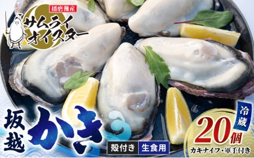 牡蠣 生食 坂越かき 殻付き28個(牡蠣ナイフ・軍手付き)サムライオイスター