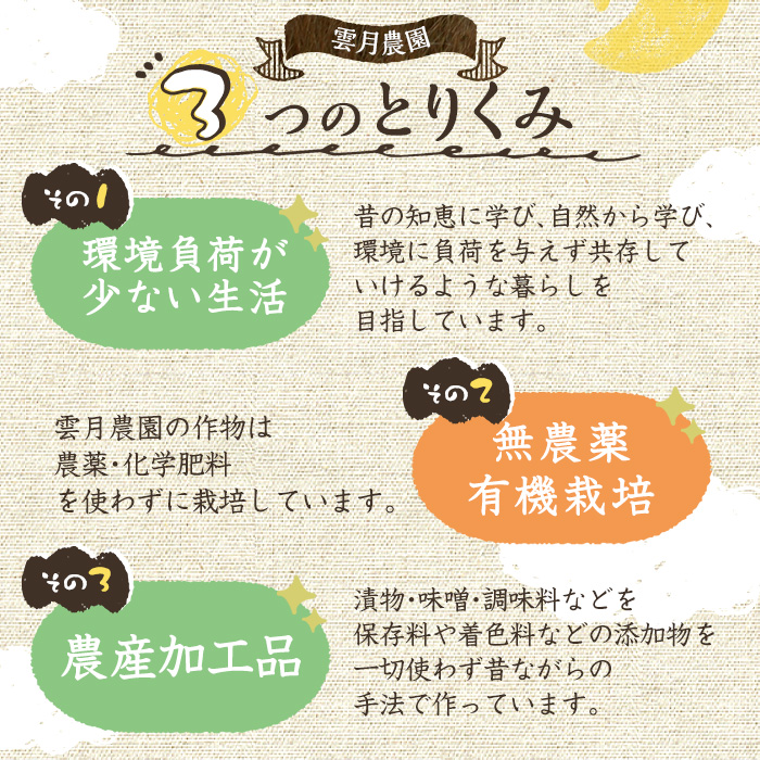 y175 ≪先行予約受付中！2024年7月以降順次発送≫《添加物不使用》麦みそ3.4kg(850g×4パック) 国産 九州産 味噌 麦味噌 自家栽培 玄米麹 麹 こうじ みそ汁【雲月農園】