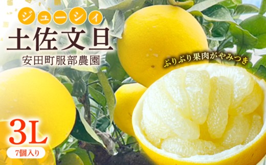 土佐文旦 贈答用 文旦 高級 3Lサイズ 7個 文旦 3Lサイズ 大玉 ぶんたん 柑橘 土佐文旦 柑橘類 フルーツ 旬 常温 果汁 ふるさと納税果物 ふるさと納税文旦 ふるさと納税フルーツ デザート サラダ ジャム マーマレード ギフト お歳暮 贈答 分担 はっとりさんち はっとり農園 服部農園 高知県 安田町 HT0010