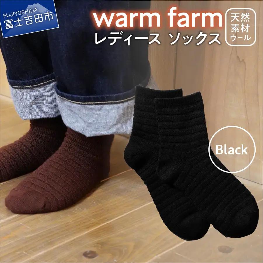 光吸収発熱ウール「ウォームファーム　ソックス」ブラック