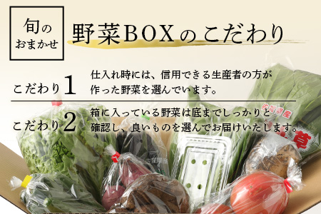  【12ヶ月定期便】旬のおまかせ 野菜 BOX 野菜定期便 旬の野菜 詰め合わせ 野菜 新鮮 野菜 8～11品目 H-13