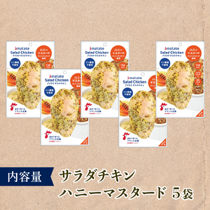 【3ヶ月/定期便】 サラダチキン ハニーマスタード味 100g×5個 計500g 3回 リン酸不使用 冷凍 鶏肉 サラダ スパイス お弁当 おかず
