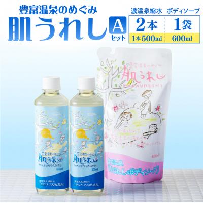 ふるさと納税 豊富町 豊富温泉 濃縮温泉水サロベツ大地恵泉 (500ml×2本) &amp; ボディーソープ (600ml×1個)