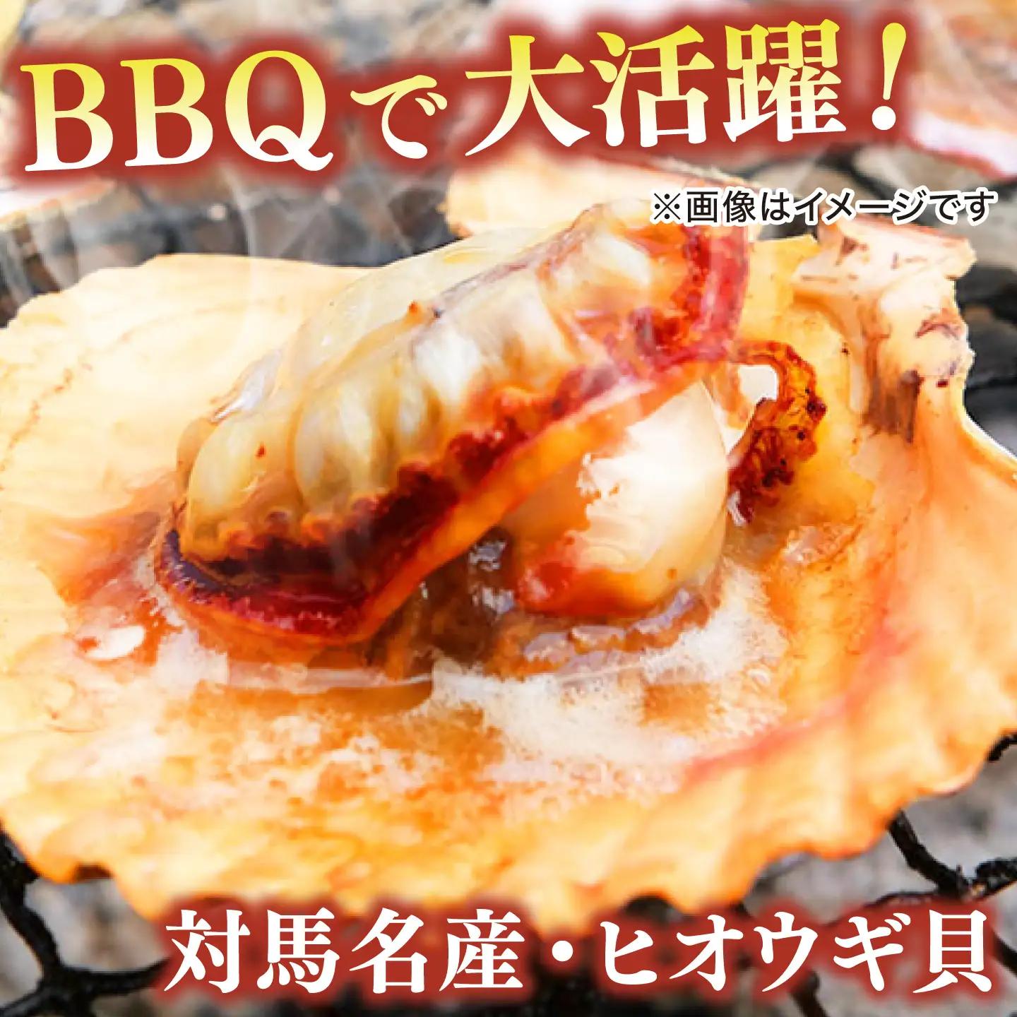 対馬産ひおうぎ貝 6パック（4枚入り） 貝  BBQ 小分け [WAC061]