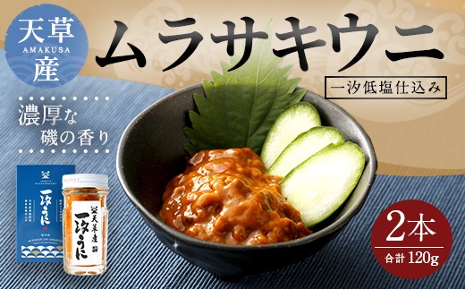 天草産ムラサキウニだらけ　豪華2本セット　(一汐低塩仕込み/60g)