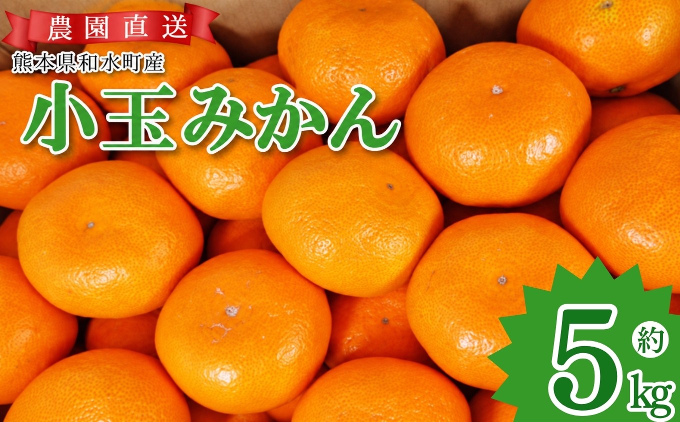 
                  訳あり 小玉 みかん 約 5kg 果物 熊本県なごみ町産  | 熊本県 熊本 くまもと 和水町 なごみまち なごみ みかん ミカン 蜜柑 柑橘 柑橘類 温州 果物 フルーツ 不揃い キズ スレ
                