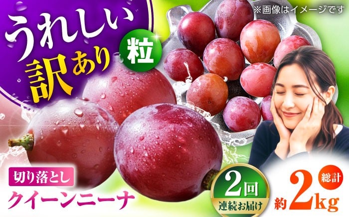 
            【先行予約】　【2回定期便】　訳あり クイーンニーナ ぶどう 切り落とし 約1kg  【合同会社 社方園】 [ZBZ045]
          