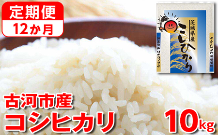 【定期便 12か月】【新米】令和7年産 古河市産コシヒカリ 10kg（5kg×2袋）｜米 コメ こめ ごはん ご飯 ゴハン 白飯 単一米 国産 コシヒカリ こしひかり 10kg 定期便 12ヶ月 12回 1年 茨城県 古河市 _DP45