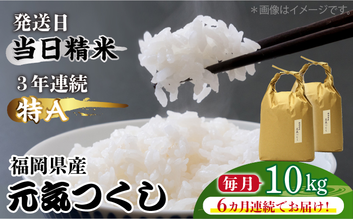 【先行予約】【全6回定期便】福岡県産【特A】評価のお米「元気つくし」5kg×2袋 [10kg] [白米]【2024年11月下旬以降順次発送】《築上町》【株式会社ベネフィス】[ABDF116]